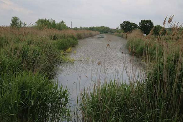 Bačko Dušanovo - daleko od grada, daleko od srca
