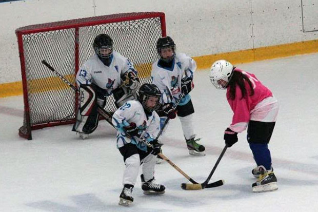 Hokejaši Spartaka (U8/U10) učestvovali na turniru u Budimpešti