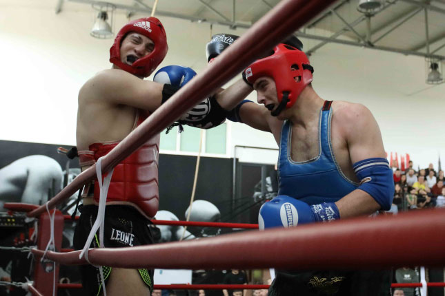 Kik boks: Dve medalje takmičara "Top fighter"-a na "Muay Thai" prvenstvu Srbije