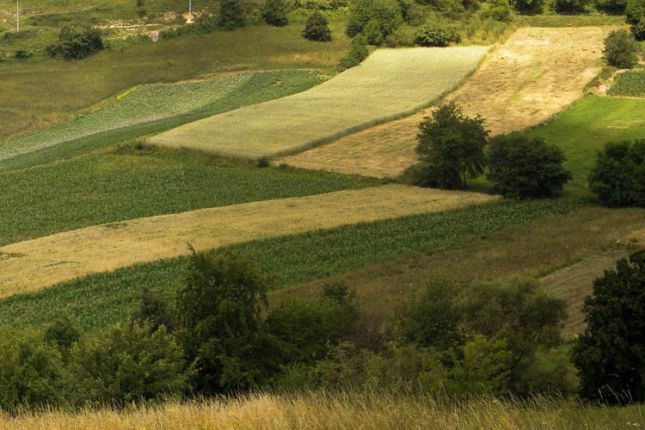 Vraćena svega trećina oduzete imovine