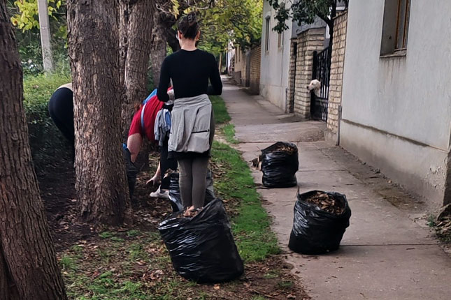 Meštani Donjeg Tavankuta se ujedinili i uredili centar sela