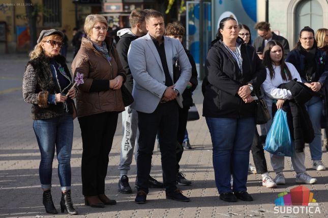 11. novembar - dan mira, slobode, ljubavi i - humanosti!