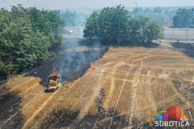 Požar na zemljištu na Palićkom putu lokalizovan, na površini od 70 hektara intervenisalo 13 vatrogasnih vozila
