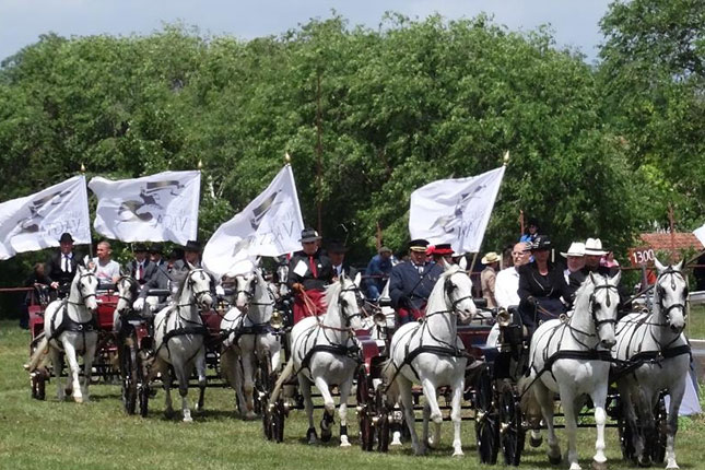 Peti "Vojvođanski galop" 20. maja na Zobnatici