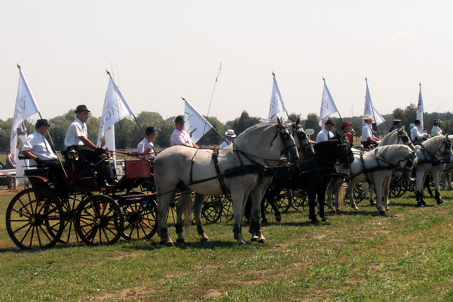 Peti "Vojvođanski galop" 20. maja na Zobnatici