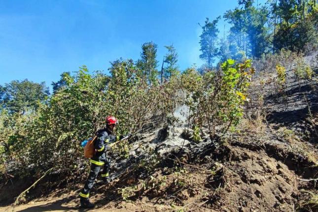 Vatrogasci DVD "Matica" učestvovali u gašenju požara u Raškoj oblasti