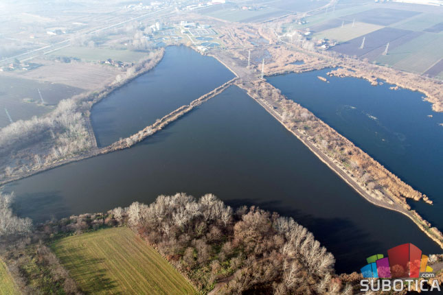 Palićko jezero uspešno očišćeno od vodene salate