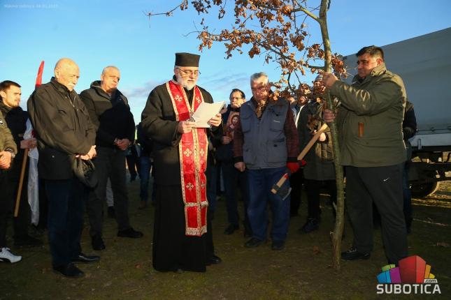 Održana tradicionalna seča badnjaka na Makovoj sedmici