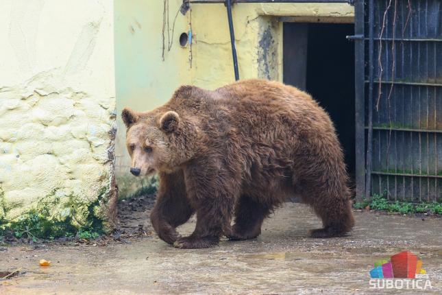 Zoološki vrt tokom prošle godine zabeležio više od 168 hiljada poseta